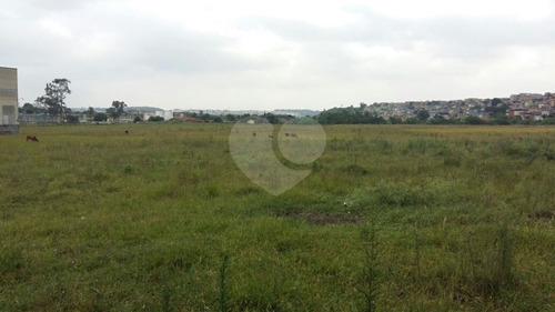 Imagem 14 de 20 de Terreno De 8.500 Metros Quadrados, Junto Ao Aeroporto De Cumbica - Guarulhos - Sp, - Reo305915