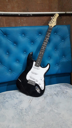 Guitarra Electrica Parker