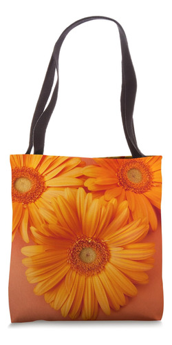 Naranja Gerber Margarita Flor Floral Flores Margaritas Bolsa