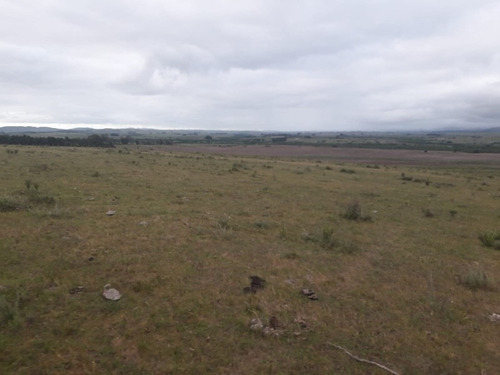 Campo De 47 Has En Paraje Los Caracoles - Consulte !!!!!- Ref: 1359