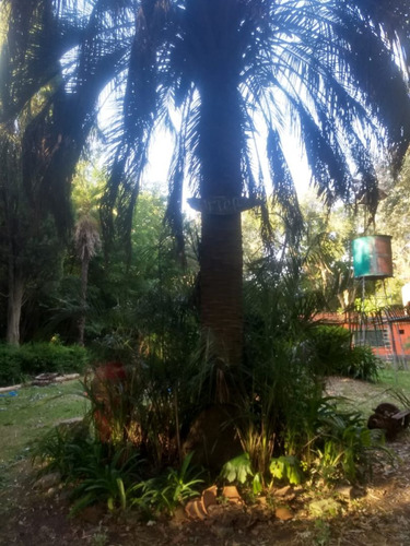 Quinta Eventos Y Descanso. Gran Arboleda Y Piscina