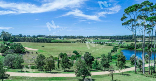 Imagen 8 de 20 de Lotes En Venta En Barrio Privado - Punta Del Este Punta Del Este