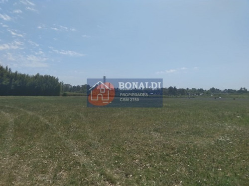 Imagen 1 de 5 de Lote En Villa Rosa