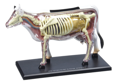 Modelo Tedco 4d Vision Cow