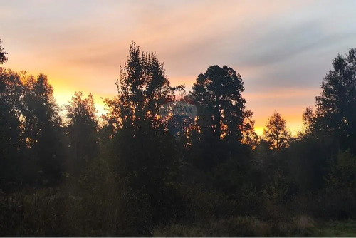 Parcela En Huincara, Villarrica