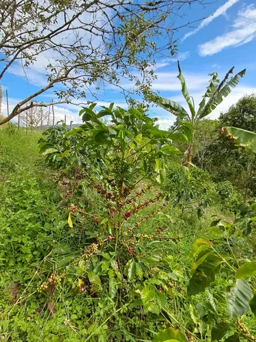 Finca En Restrepo Valle