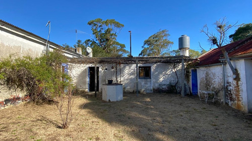 Imagen 10 de 30 de Se Vende Campo De 77 Has En Maldonado. A Pocos Km De Aiguá En Zona De Ruta 39. Ubicación Privilegiada!