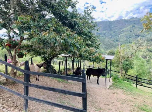 Vendo Finca En Machetá Cundinamarca A 1.5 Horas De Bogotá!