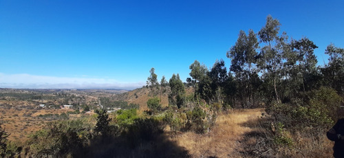 9 Terrenos De 1ha Hasta 42ha Total Aprox: 130ha La Rudilla