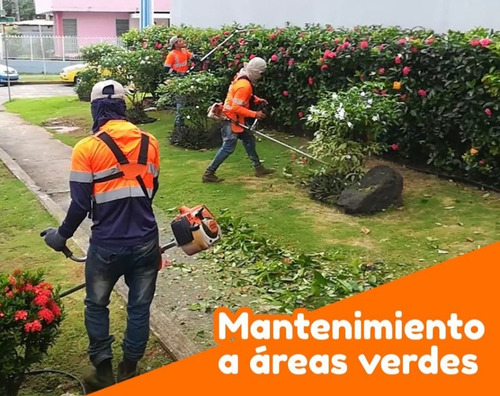 Imagen 4 de 9 de Empresa De Limpieza Jardineria Edificios Mantenimiento