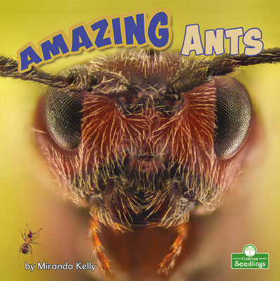 Libro Amazing Ants - Kelly, Miranda