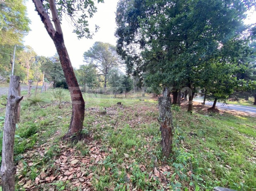 Imagen 3 de 10 de Terreno En Venta Escriturado En Huitzilac Morelos