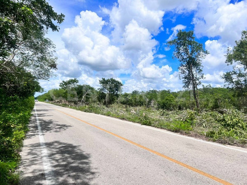 Terrenos De Inversión En Yucatán, Valladolid, México