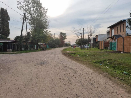 Imagen 3 de 9 de Lote Piola