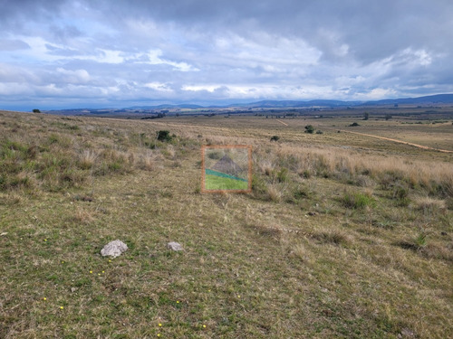 Imagen 16 de 30 de 79 Hás Campo Criador Y Serrano En Corte De La Leña