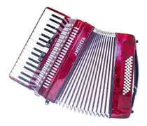 Comprar Acordeon J Meister 48 Teclas Bajos 5 Registros
