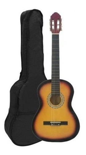 Guitarra Criolla Standart De Estudio Con Funda , Pua Z/sur