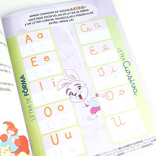 Aprendendo Vogais + Consoantes | Livros Com Atividades