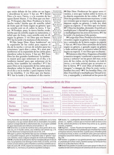 Imagen 3 de 6 de Biblia De Estudio Ryrie Tapa Dura Reina Valera 1960