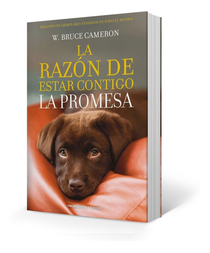 Libro La Razon De Estar Contigo 3 - La Promesa - Bruce Camer