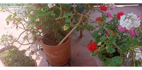 Finca En Vender En Medellín