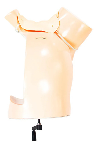 Simulador De Parto Normal Com Sistema De Manivela E Bebê