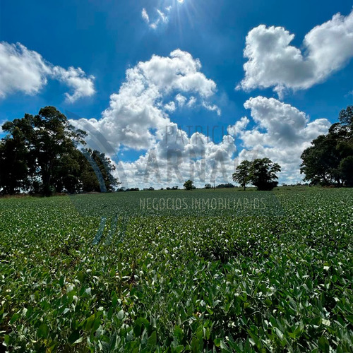 Se Vende Excelente Campo En Bolivar. 84 Hectáreas