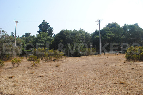 Terreno En Algarrobo