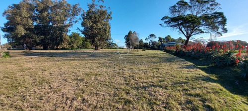 Imagen 28 de 28 de Venta Campo Ideal Para Fraccionar En Chacras Codigo 6003 - Las Garzas