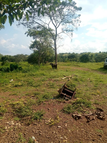 Imagen 27 de 28 de Finca En Venta En El Estado Guarico