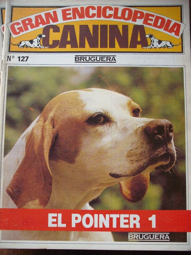 Gran Enciclopedia Canina N° 127 El Pointer 1 Bruguera