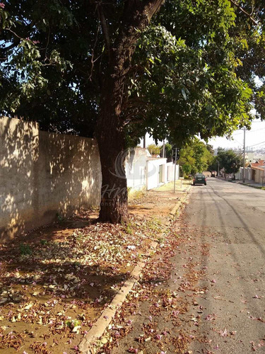Imagem 5 de 7 de Terreno Para Aluguel Em Jardim Alto Da Barra - Te033813