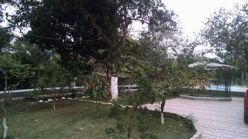 Imagem 5 de 14 de Linda Chácara Em Itanhaém