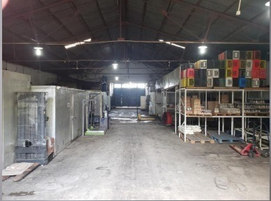 Imagen 2 de 9 de Se Vende Galpones En La Av Raul Leoni Ve02-266zn-jv