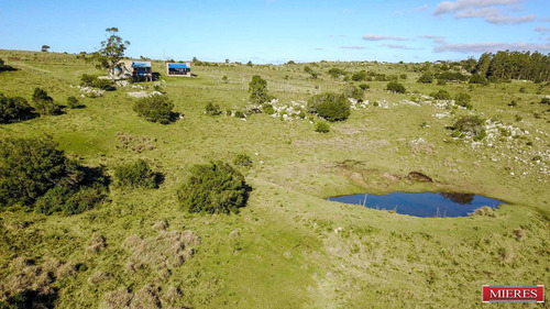Quinta En Venta De 1 Dormitorios En Pueblo Edén