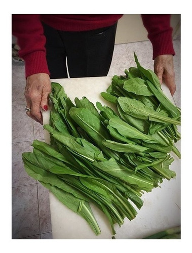 Achicoria Hoja Fina Semillas Organicas 600 Don Coco