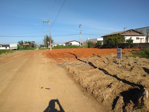 Imagem 3 de 4 de Terreno - Zona Sul - Ref: 28512 - L-28510