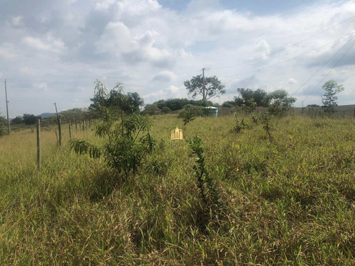 Imagem 4 de 7 de Chácara No Mounjoulinhos -esmeraldas - Te00231 - 34300432