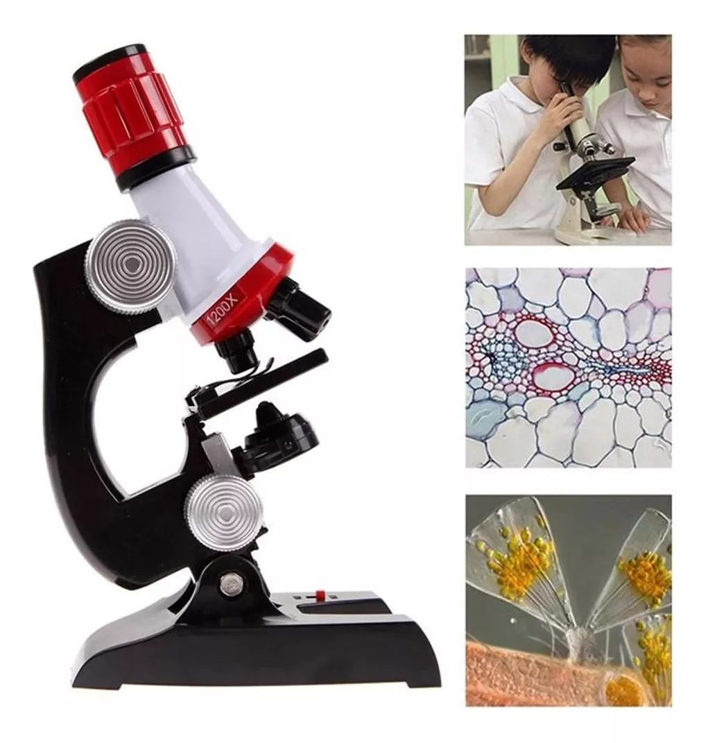 Segunda imagem para pesquisa de microscopio infantil