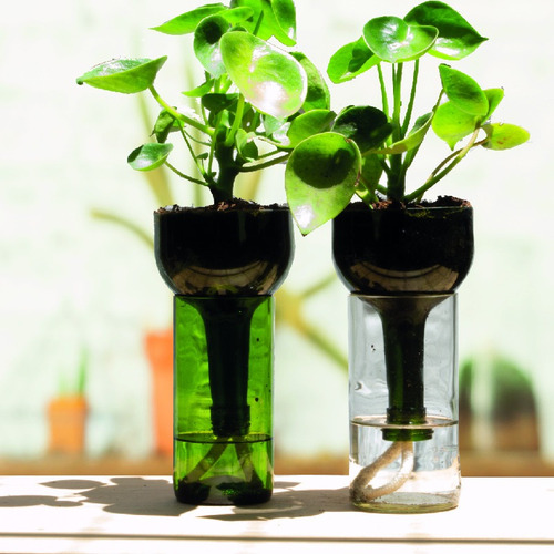 Cuchara Little Plant 24 Sin Soporte, Maceta Autorregante