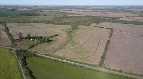 Imagen 8 de 16 de Antelo, Campo De 29 Has Sobre Asfalto, Sistematizado, Con Arroyo