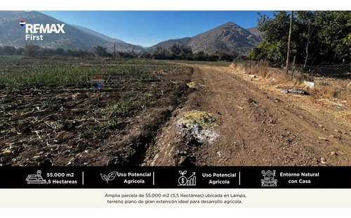 Terreno Agrícola 55.000 M² En Lampa Con Casa