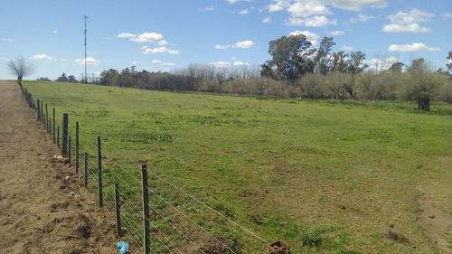 2 De Abril Y Leopoldo Acuña, Norberto De La Riestra ¡predio/quinta Urbana De 3,75 Hectareas!