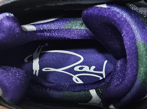 Jordan 7 Ray Allen 29 Cms (Usado)