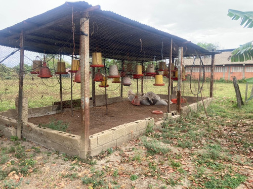 Finca En El Asentamiento Campesino Las Mariposa Plf-003