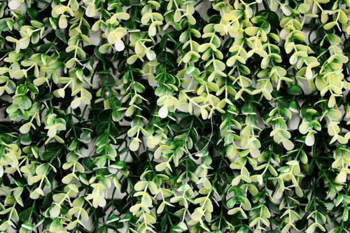 Imagen 6 de 7 de Jardin Vertical Artificial Muro Verde Panel 50x50