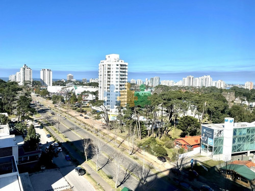 Imagen 20 de 28 de Apartamento De Primera Categoria En Torre Con Amenities