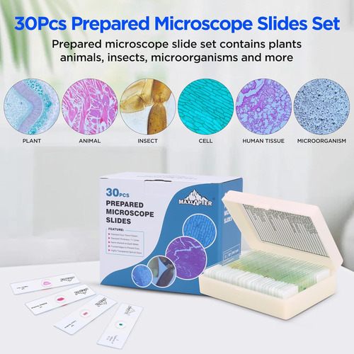 Juego De 30 Portaobjetos De Microscopio Con Muestras Para Ni