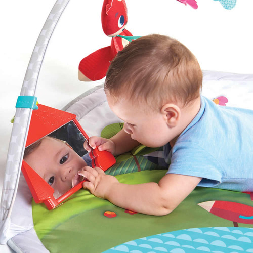 Tapete De Atividades Gymini Dynamic Meadow Days Tiny Love