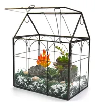 Comprar Macetas  Para Plantas Altas  De Vidrio  Terrario